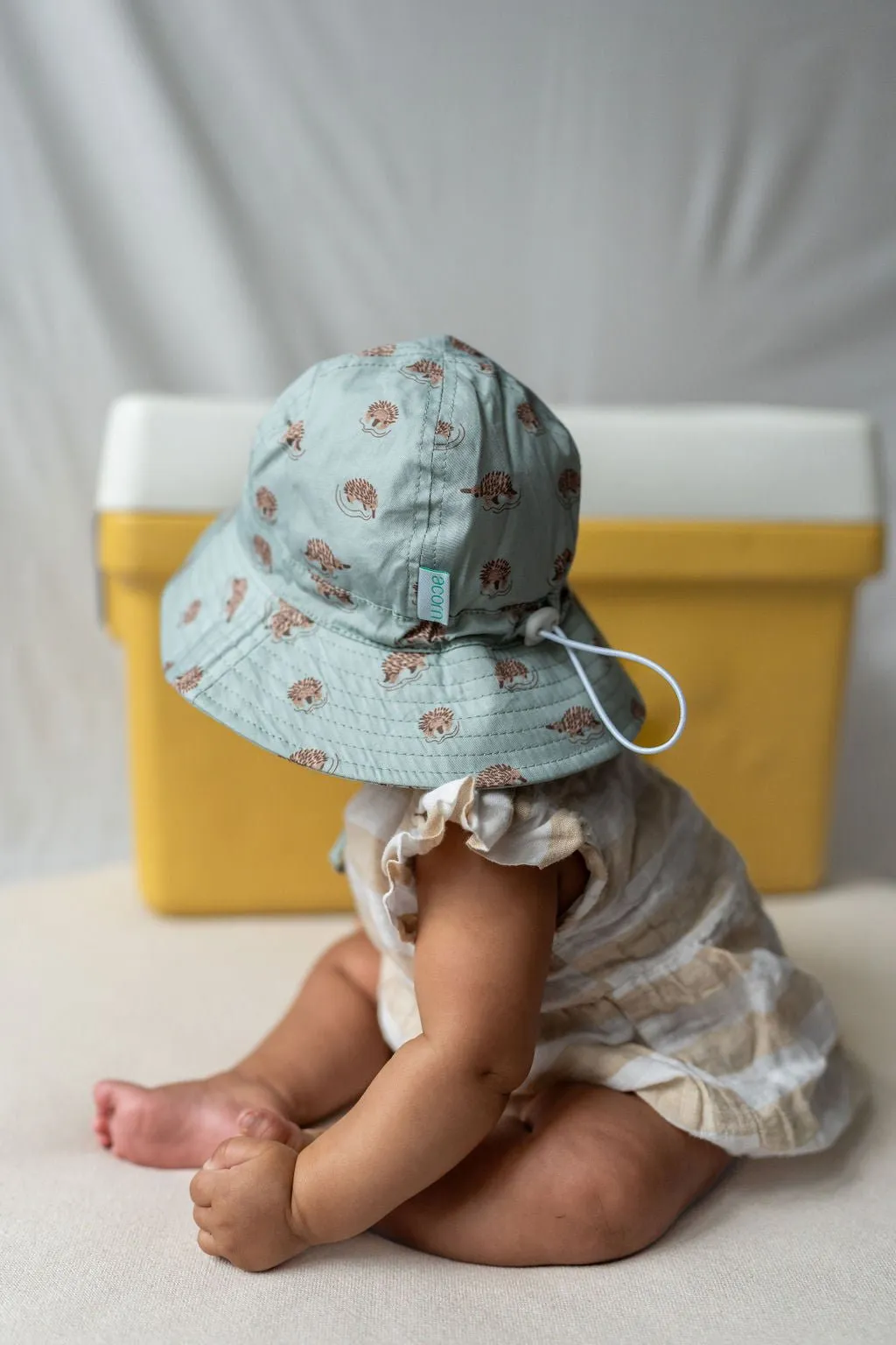 Echidna Wide Brim Infant Hat