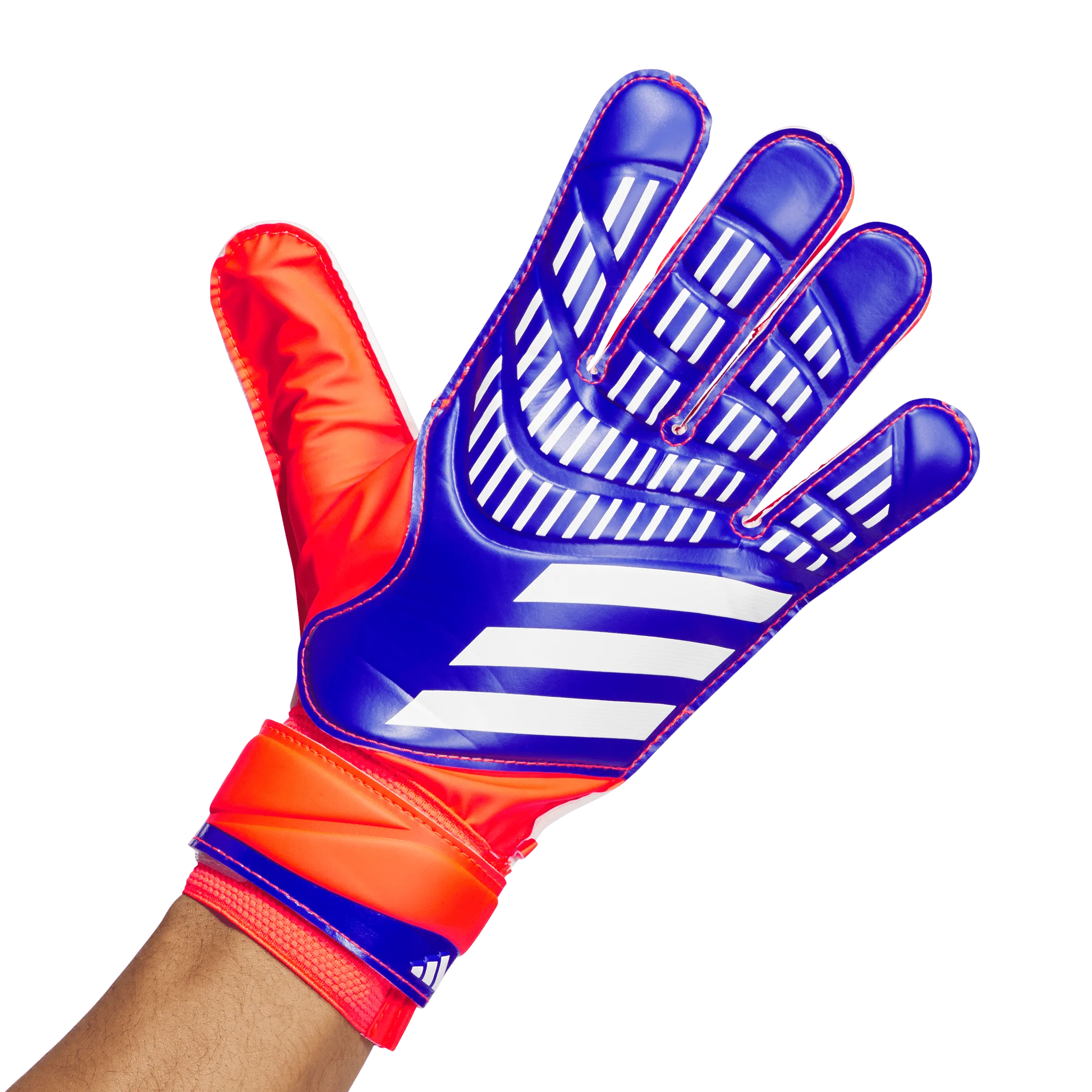 Predator Training Goalkeeper Gloves - Advancement Pack (IX3870)